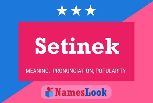 Setinek Name Poster