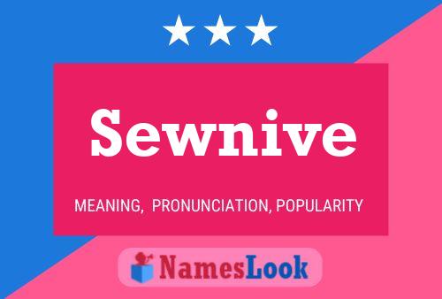 Sewnive Name Poster