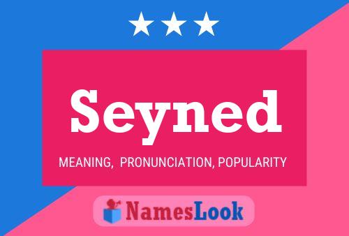 Seyned Name Poster