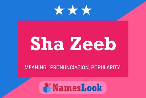 Sha Zeeb Name Poster