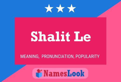 Shalit Le Name Poster