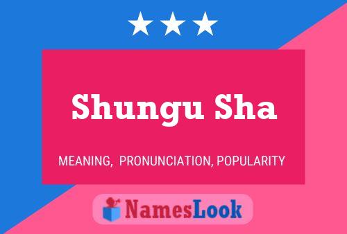 Shungu Sha Name Poster