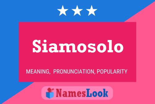 Siamosolo Name Poster