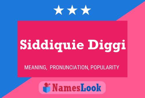 Siddiquie Diggi Name Poster