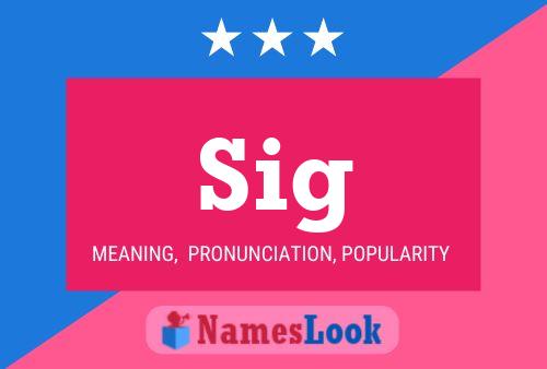 Sig Name Poster