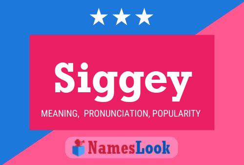 Siggey Name Poster