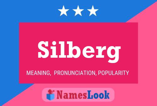 Silberg Name Poster