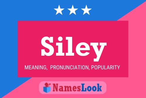 Siley Name Poster