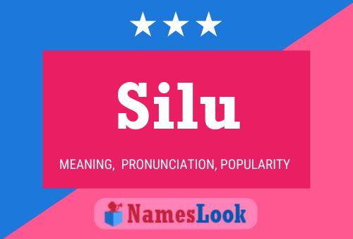 Silu Name Poster