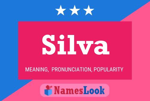 Silva Name Poster