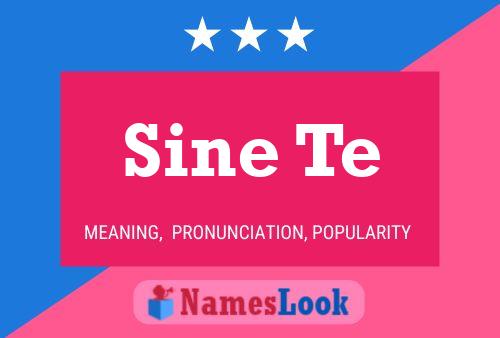 Sine Te Name Poster