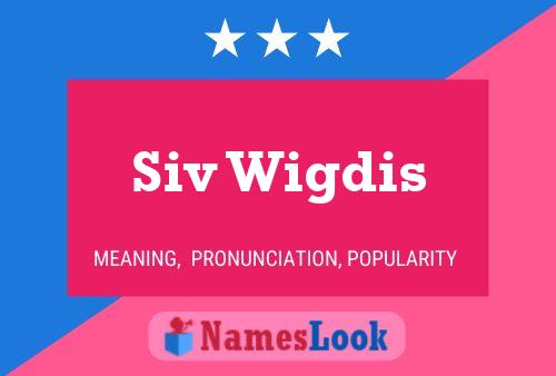 Siv Wigdis Name Poster