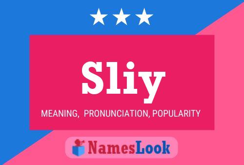 Sliy Name Poster