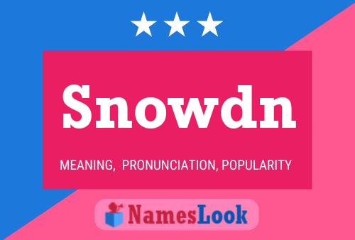 Snowdn Name Poster