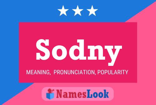 Sodny Name Poster