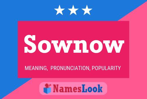 Sownow Name Poster