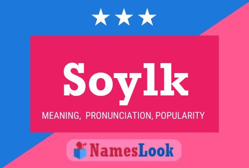 Soylk Name Poster