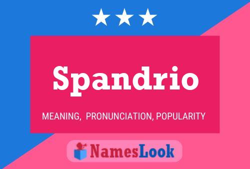 Spandrio Name Poster