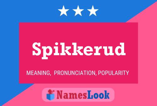 Spikkerud Name Poster