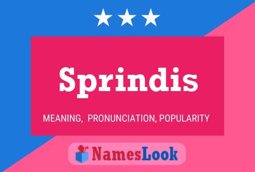 Sprindis Name Poster