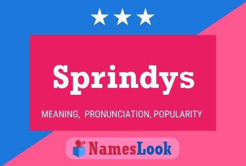 Sprindys Name Poster