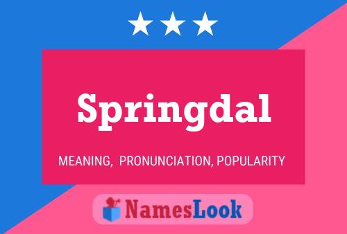 Springdal Name Poster