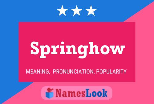 Springhow Name Poster