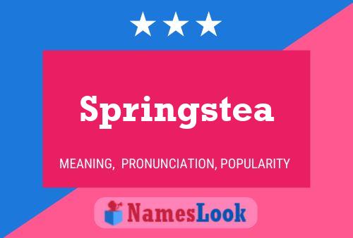 Springstea Name Poster