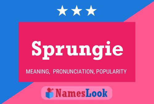 Sprungie Name Poster