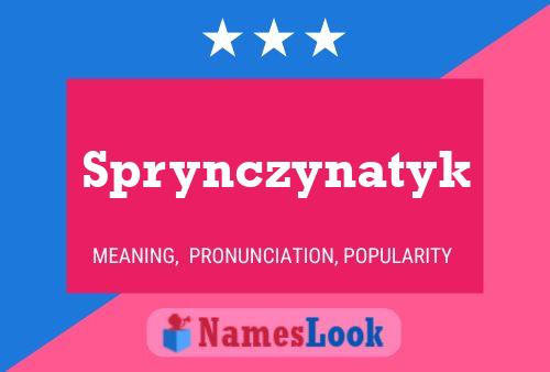 Sprynczynatyk Name Poster