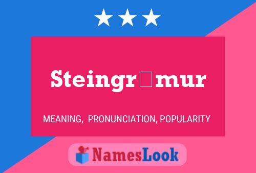 Steingrímur Name Poster