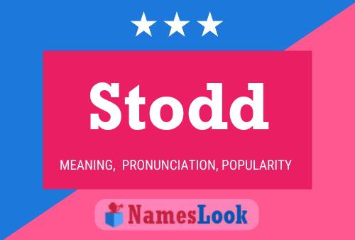 Stodd Name Poster