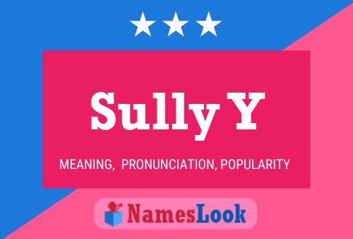 Sully Y Name Poster