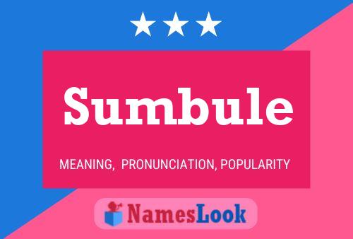 Sumbule Name Poster