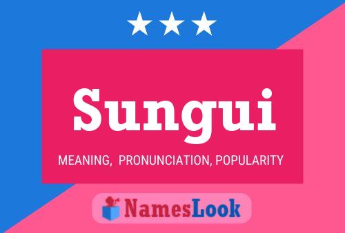 Sungui Name Poster