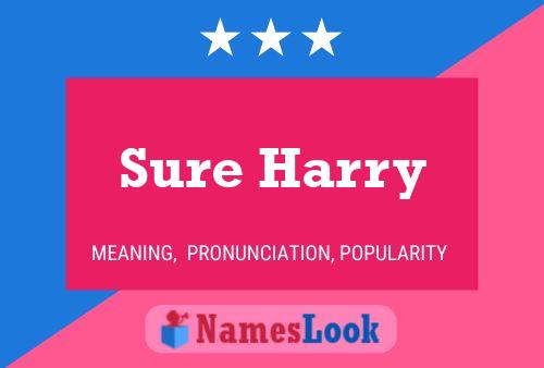 Sure Harry Name Poster