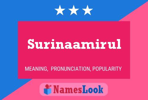 Surinaamirul Name Poster