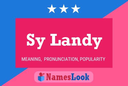 Sy Landy Name Poster