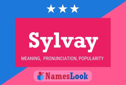 Sylvay Name Poster