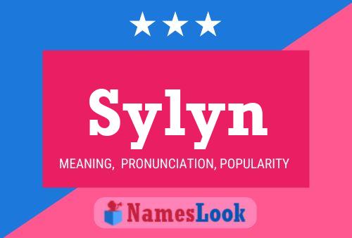 Sylyn Name Poster