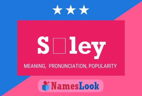 Sóley Name Poster