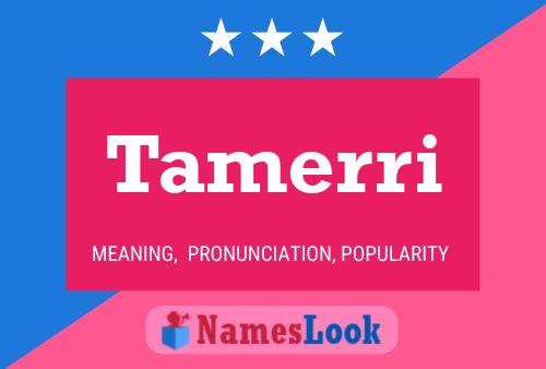 Tamerri Name Poster