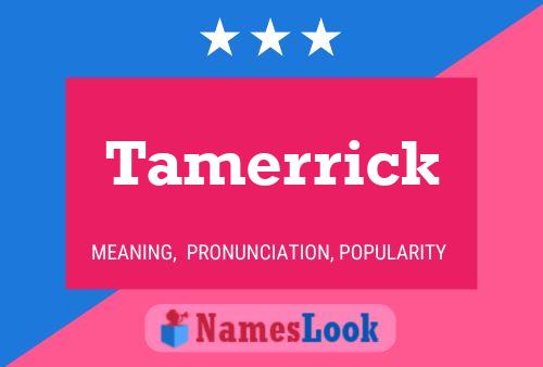 Tamerrick Name Poster