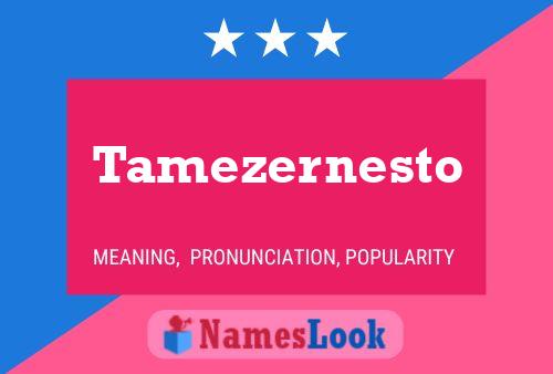 Tamezernesto Name Poster