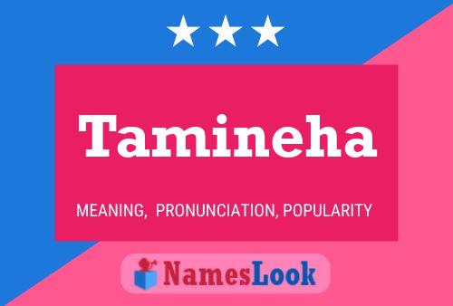 Tamineha Name Poster