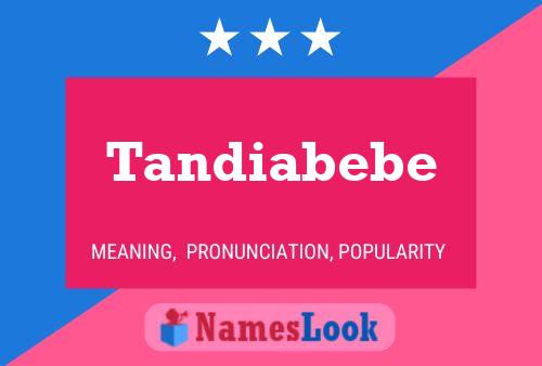 Tandiabebe Name Poster