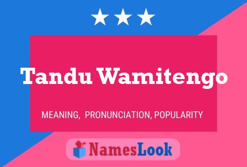 Tandu Wamitengo Name Poster