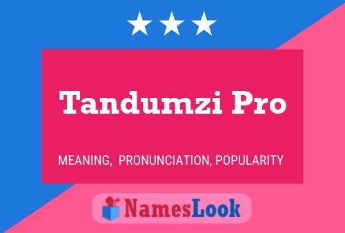 Tandumzi Pro Name Poster