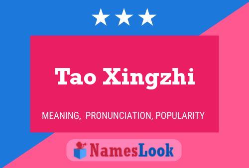 Tao Xingzhi Name Poster