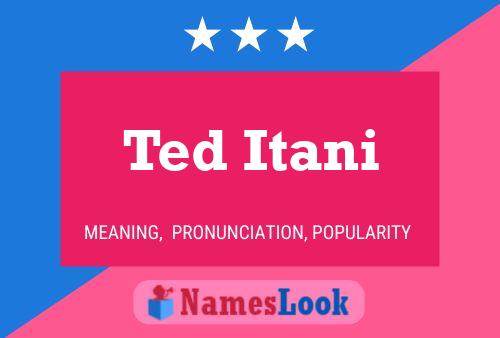 Ted Itani Name Poster